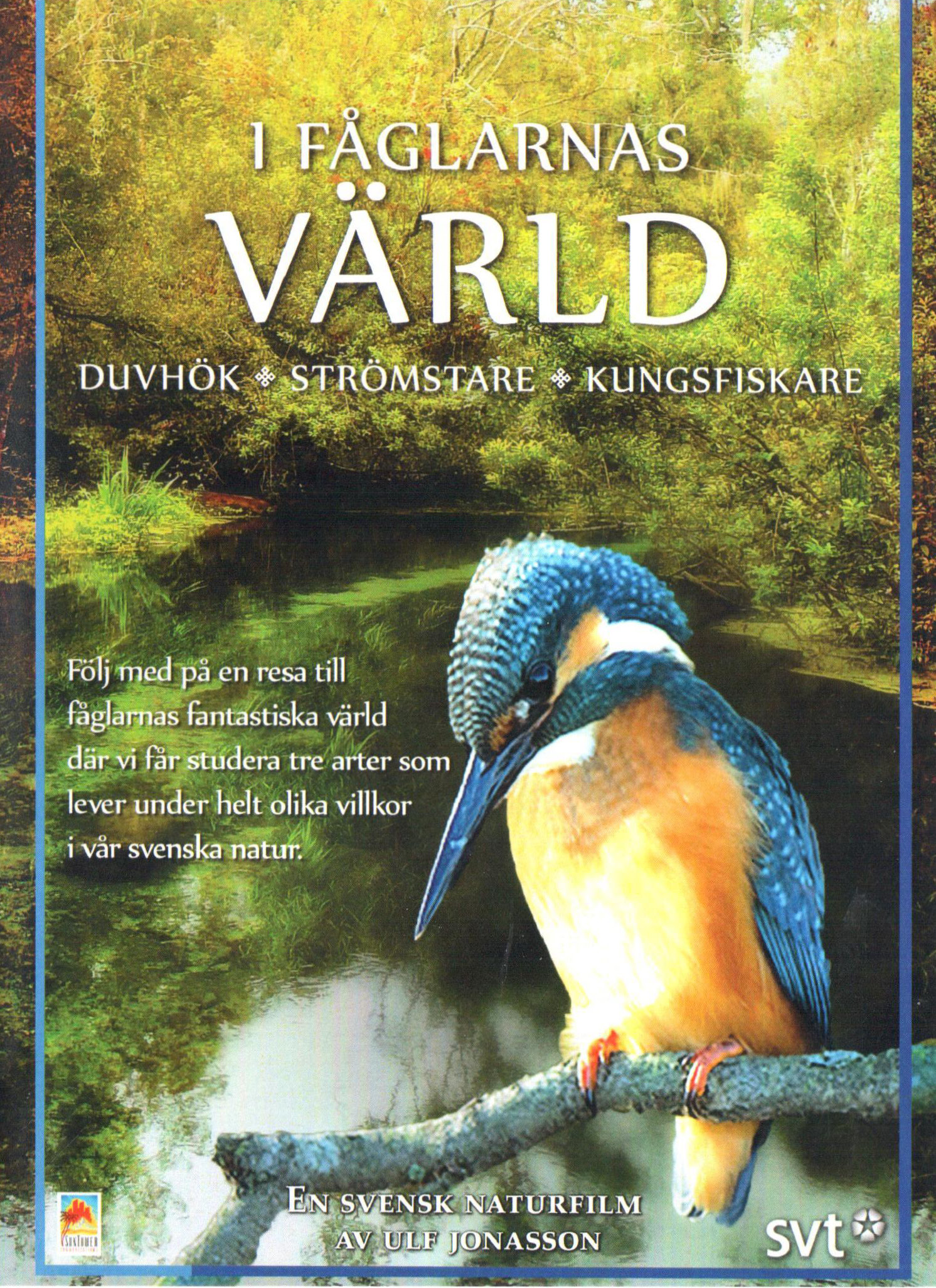 I fåglarnas värld