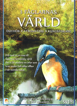 I fåglarnas värld