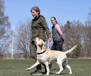 Privatträning - Lena