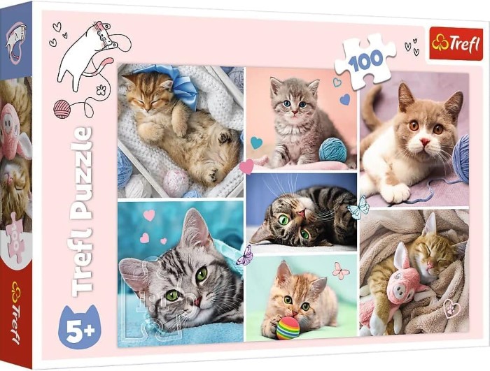 Katt Pussel 100 Bitar