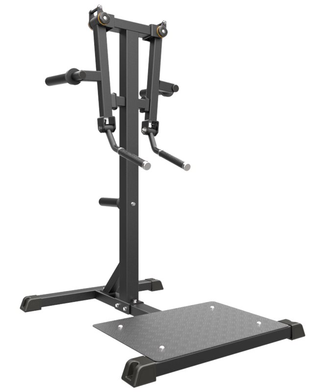 Impulse IFP Standing Lateral Raise Black