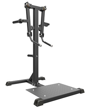 Impulse IFP Standing Lateral Raise Black