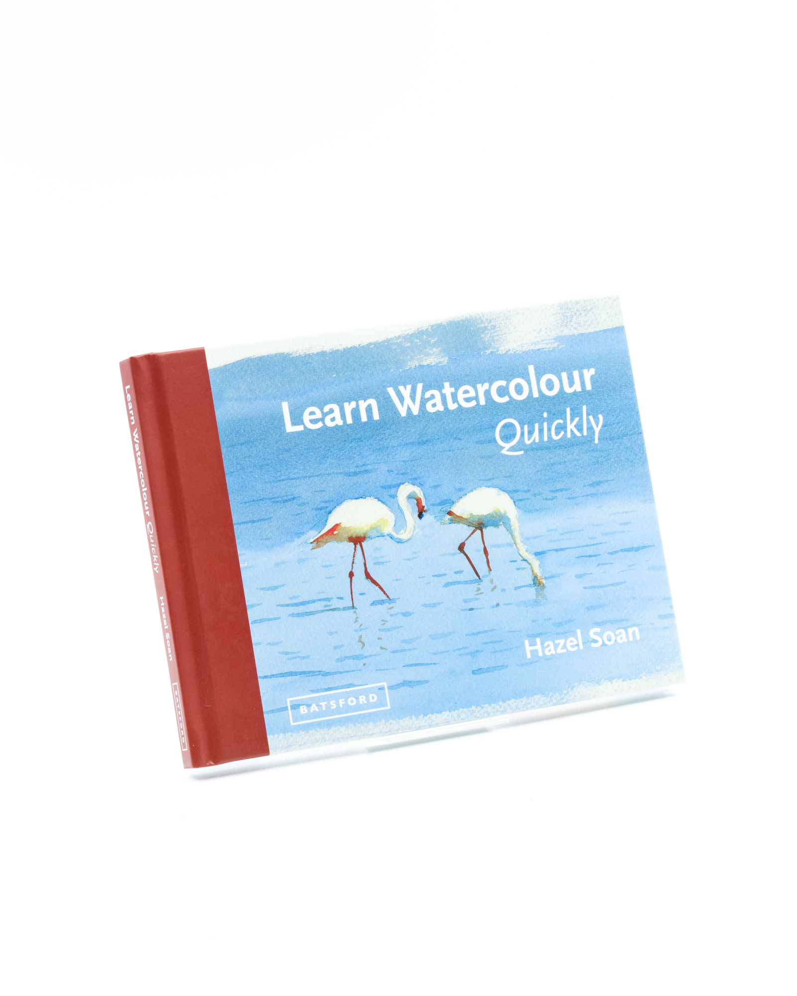 Learn Watercolour Quickly