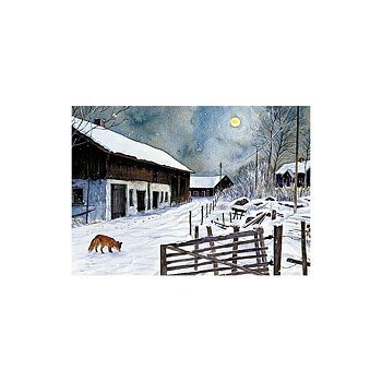 Postcard Räv i månsken