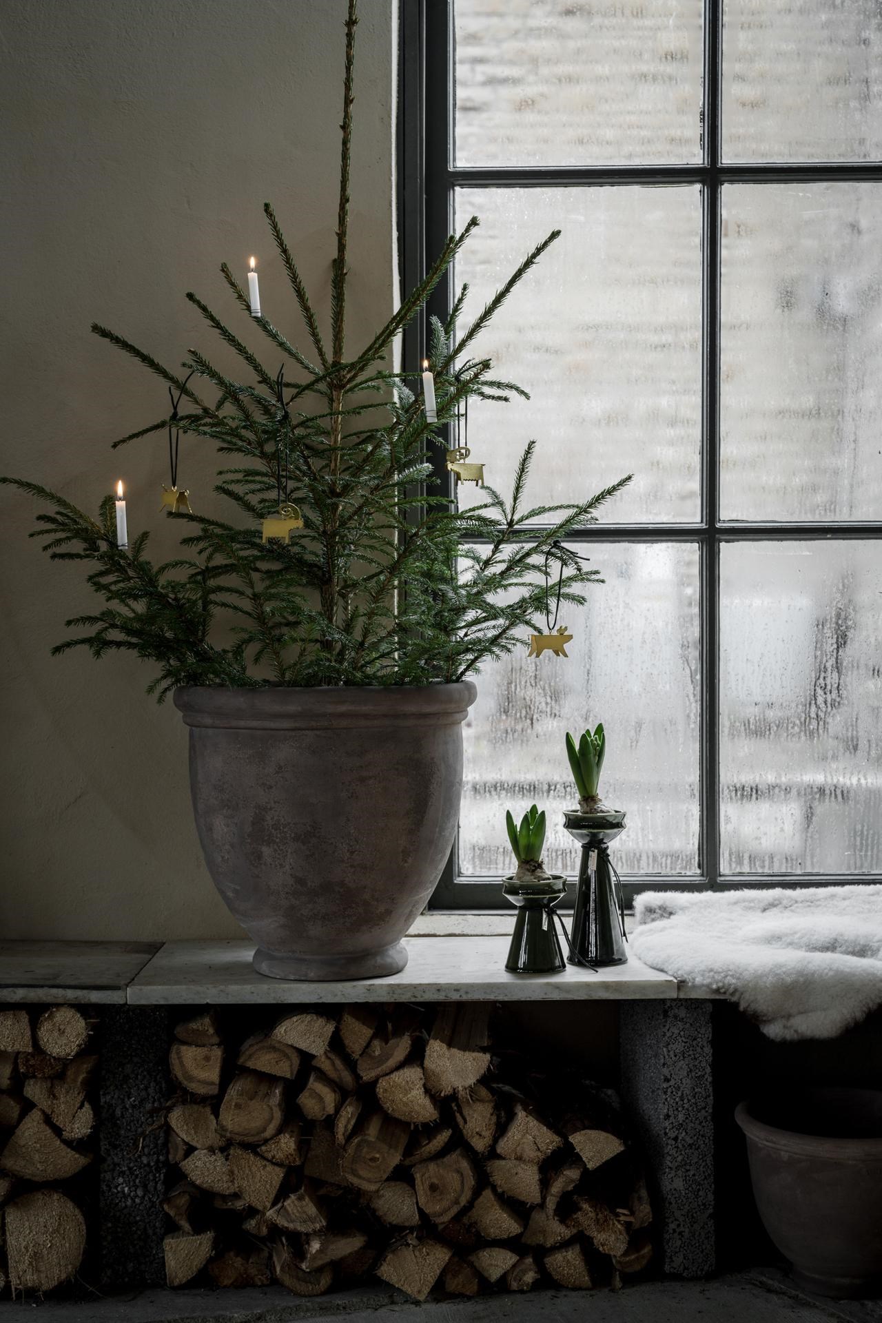 Ernst Lökvas - Hyacinth vase - Glazed stoneware - Green - Tall - 2