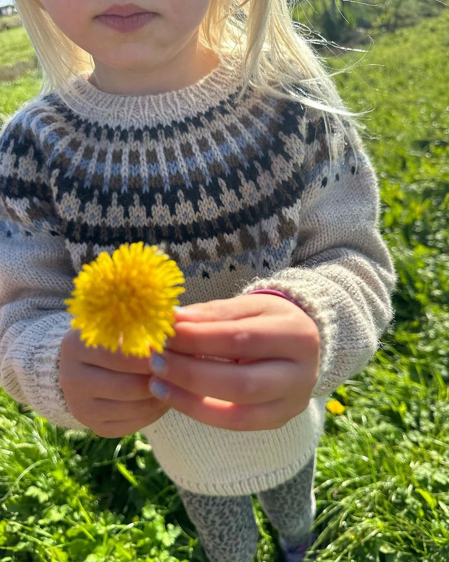 Celeste Sweater Junior - Mönster - 2