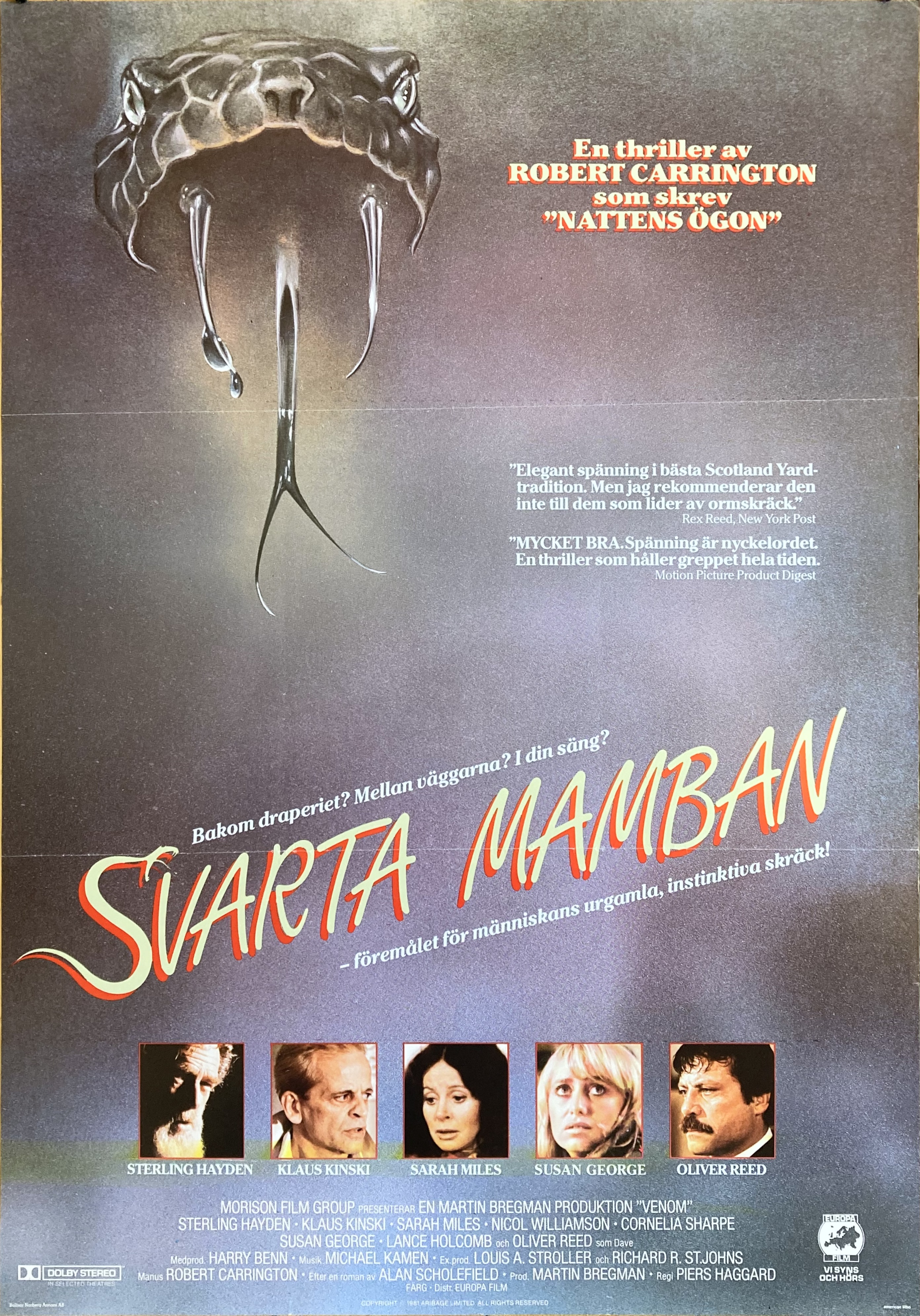 SVARTA MAMBAN (1981)