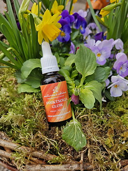 Ansiktsolja Glow karotin 30ml - Naturens sköna