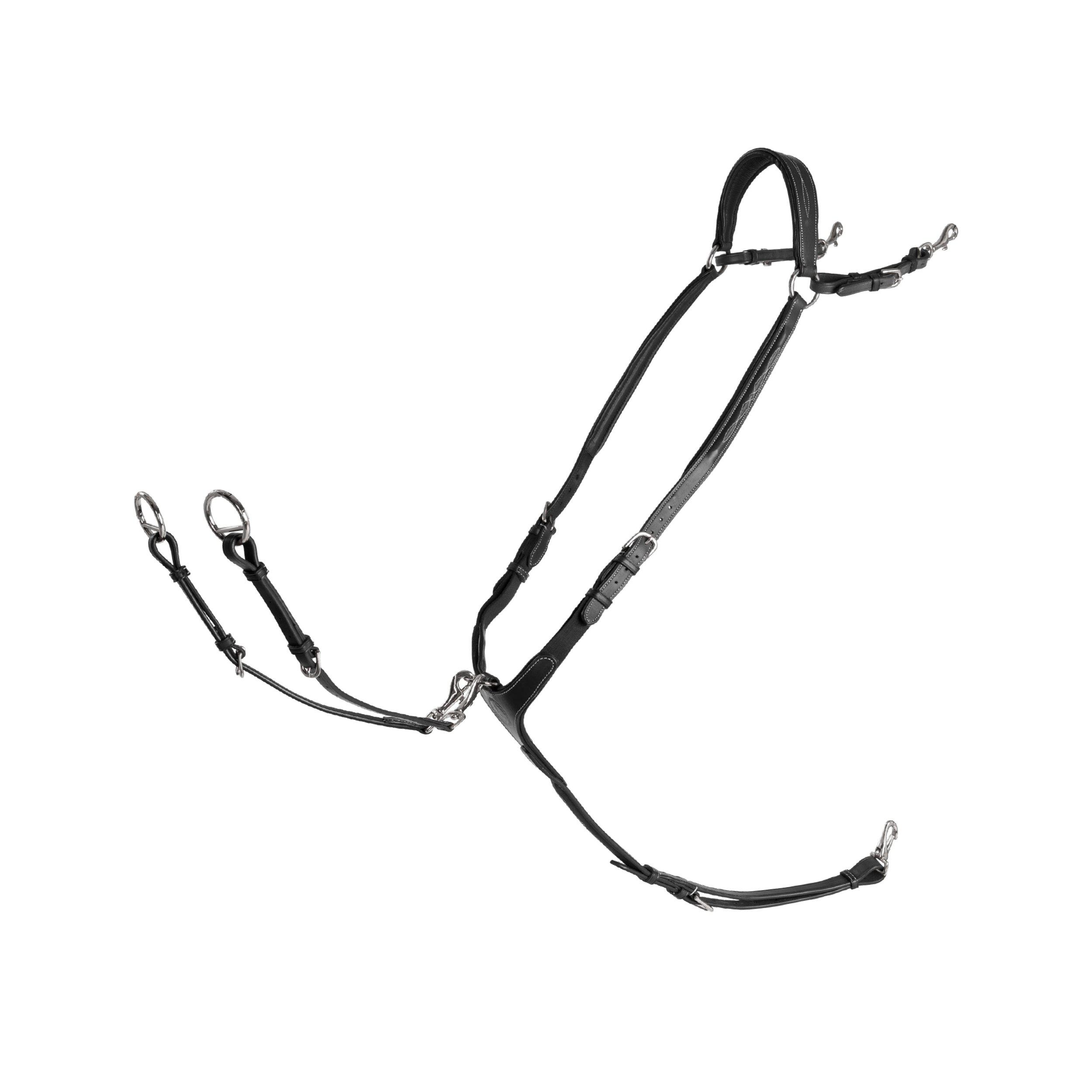 Lippo Fazzino Breastplate with snapring martingale - Black
