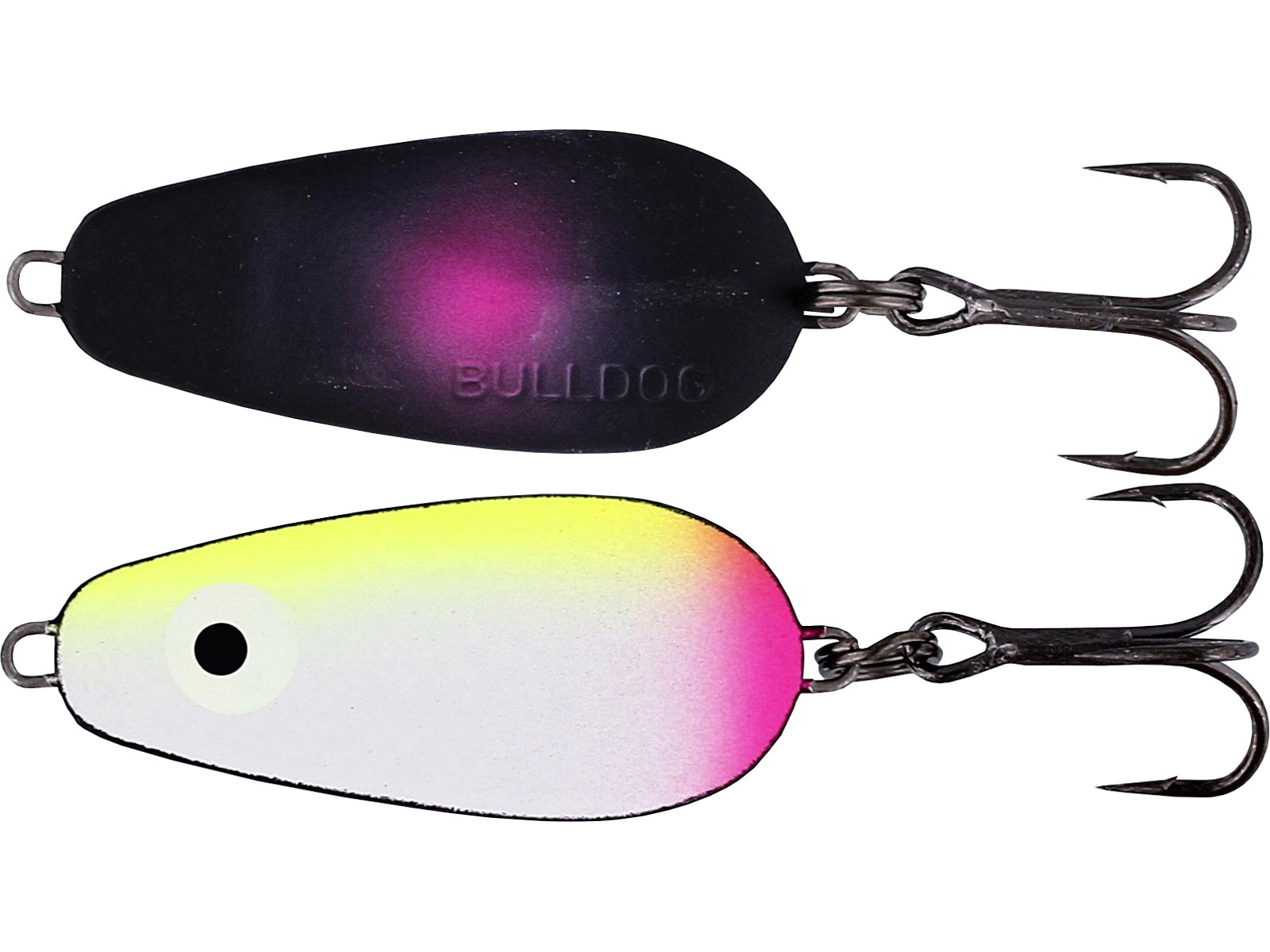 Westin Bulldog spoon pull for rainbow trout