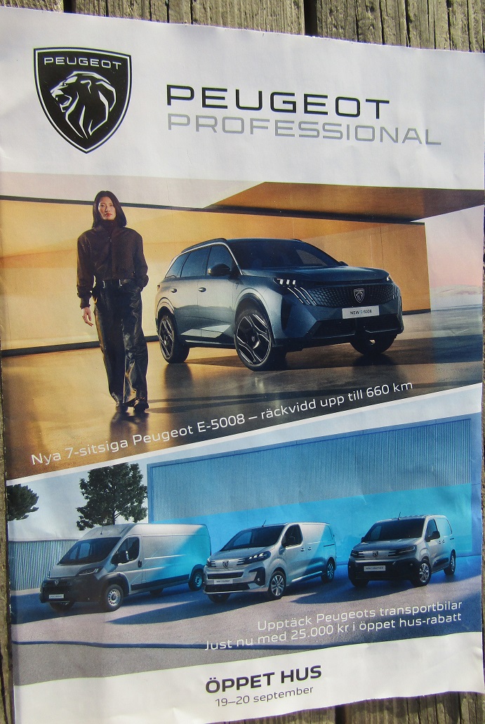 2024 Peugeot Professional broschyr