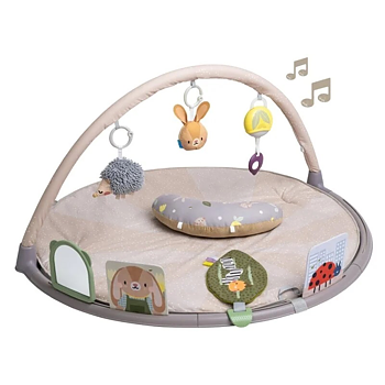 Taf Toys Tummy Time Activity Gym