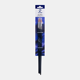 Van Gogh Brush Set Set Series 295 (8-12-16)