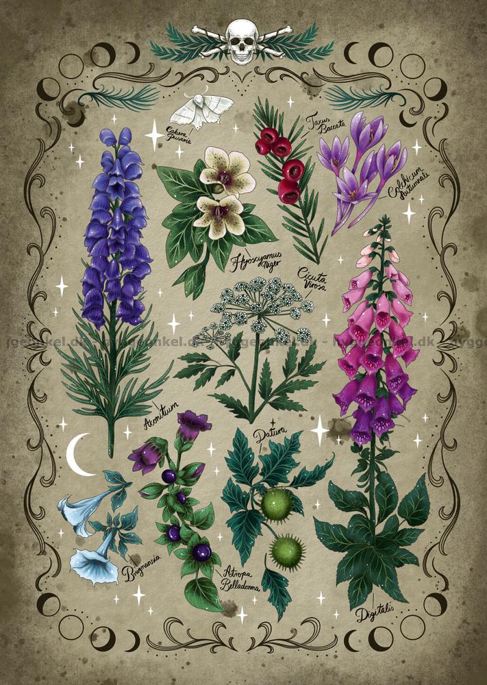 Toxic Plants 1000 Bitar Ravensburger