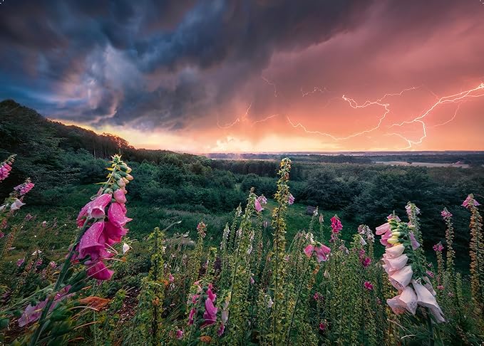 Dreamy Thunder 1000 Bitar Ravensburger