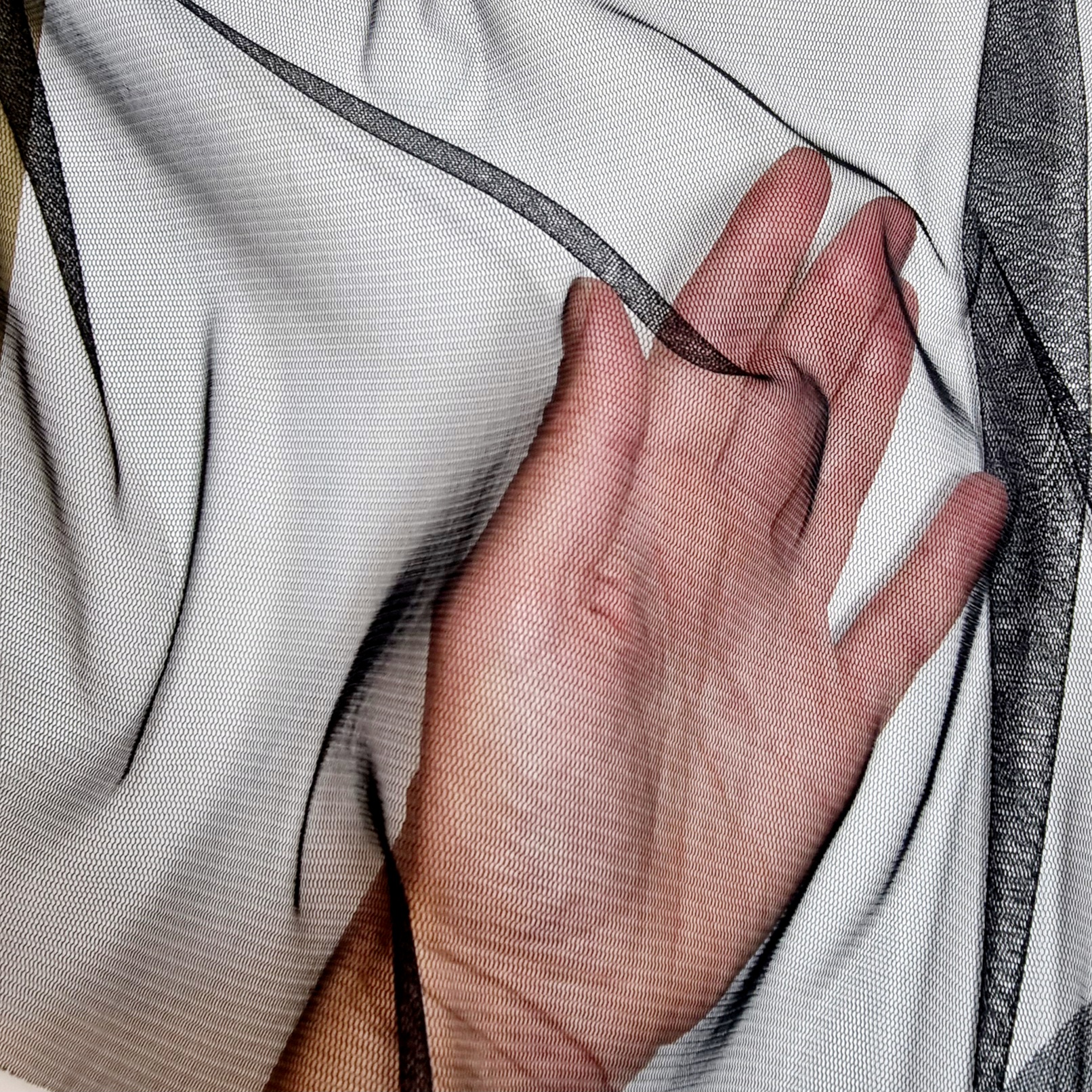 Transparent fint nät Svart AL9421