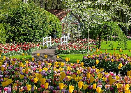 Keukenhof Gardens, Netherlands 1000 Bitar Ravensburger