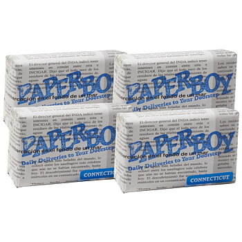 Paper Boy Connecticut Petit Corona