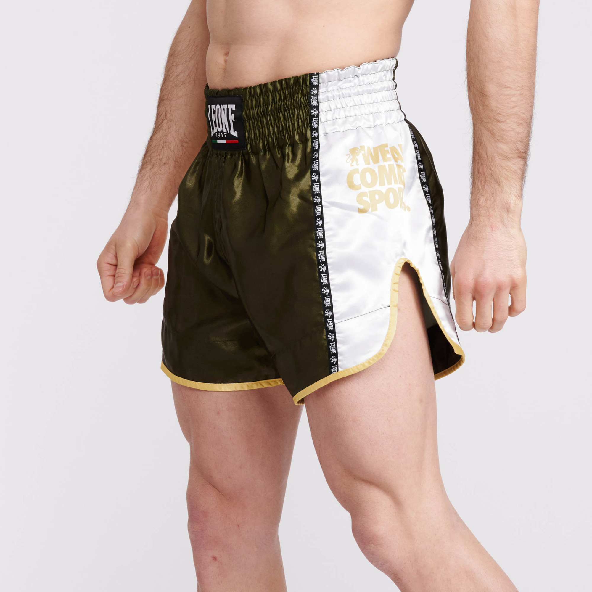 Leone Combat Thaishorts, Grön/Vit/Gul