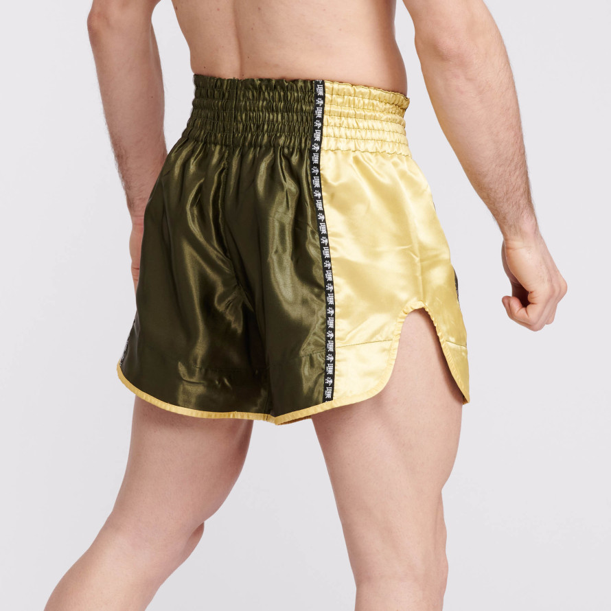 Leone Combat Thaishorts, Grön/Vit/Gul - 2