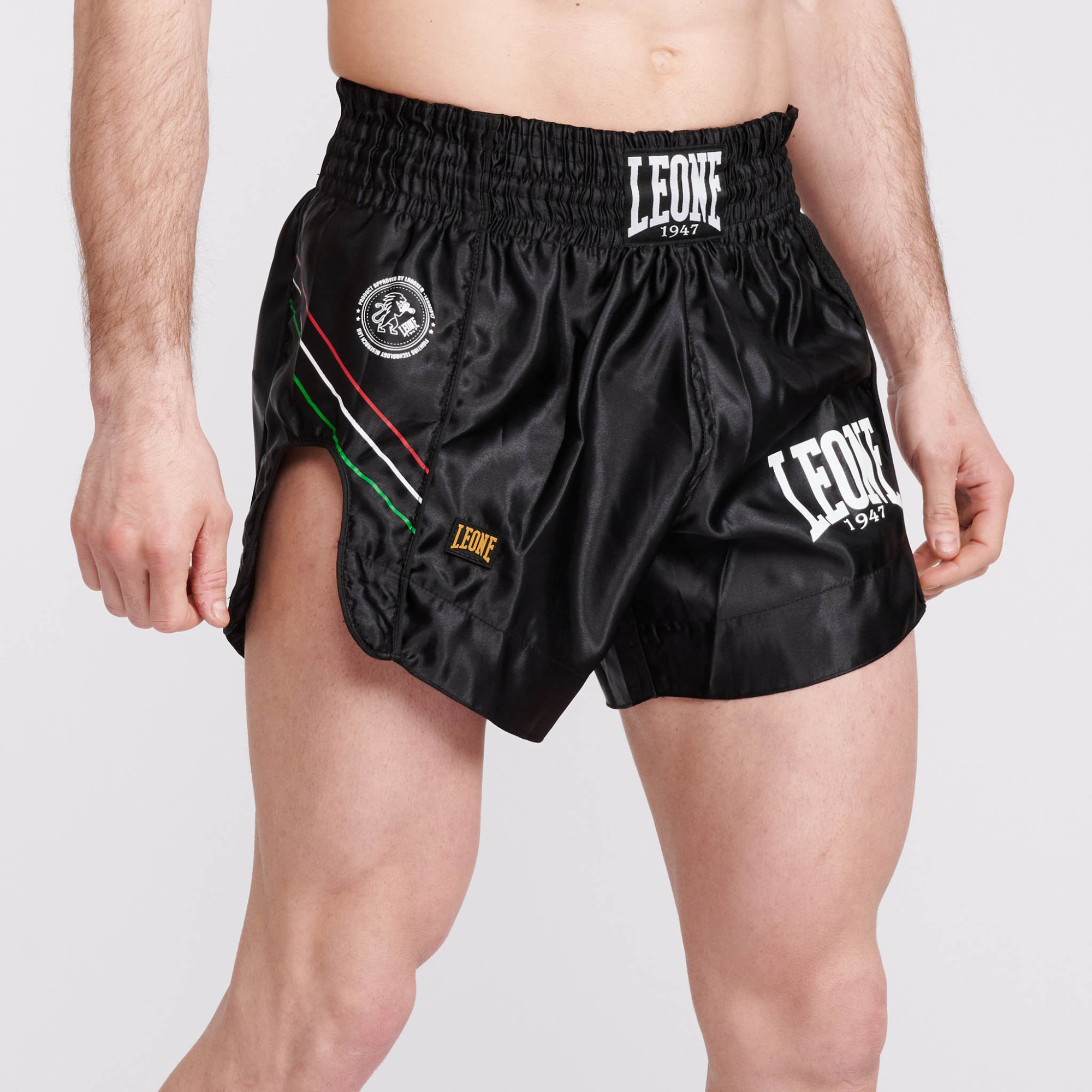Leone Combat Thaishorts FLAG Svart - 4