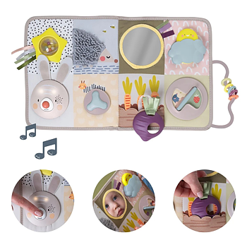Taf Toys Easier Development Activity Center
