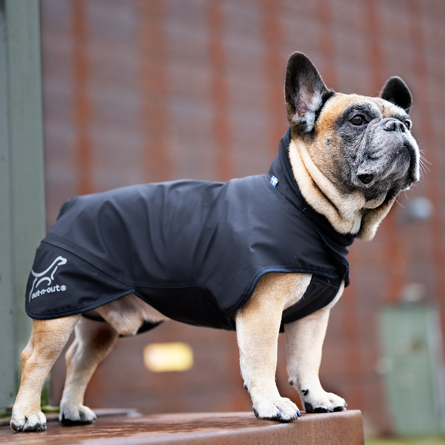 Rain jacket Neoflex (Wide Collection) - 4