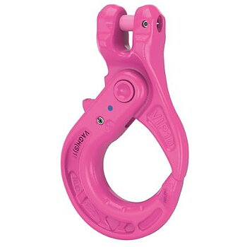 Säkerhetskrok RUD VIP VAGH(S)-8  med gaffelkoppling 8 mm Klass 10 / Maxlast: 2,5 Ton 