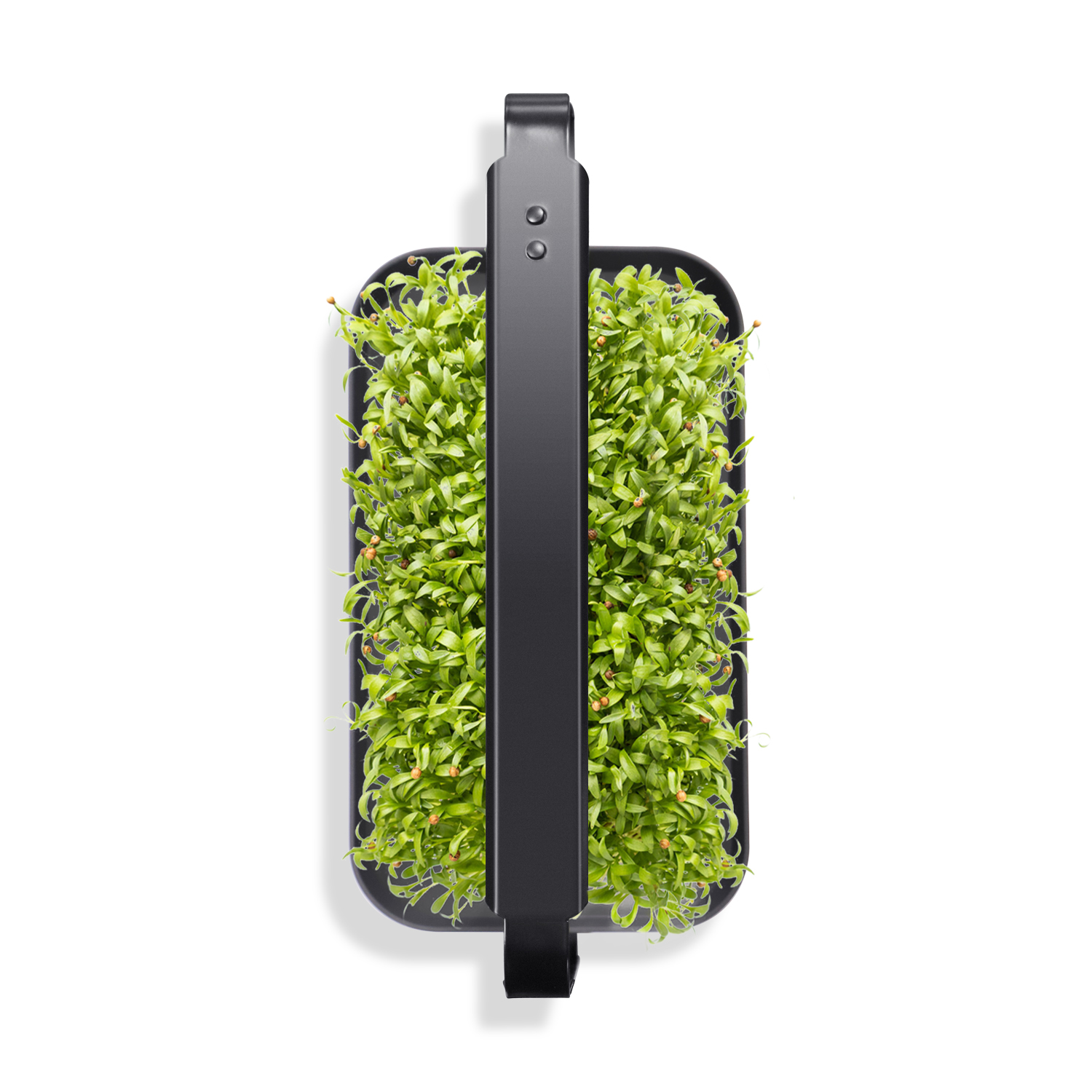 GrowFast Smart microgreen kit 16W - 4