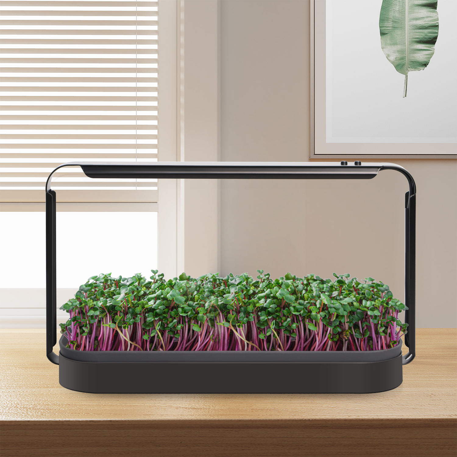 GrowFast Smart microgreen kit 16W - 3