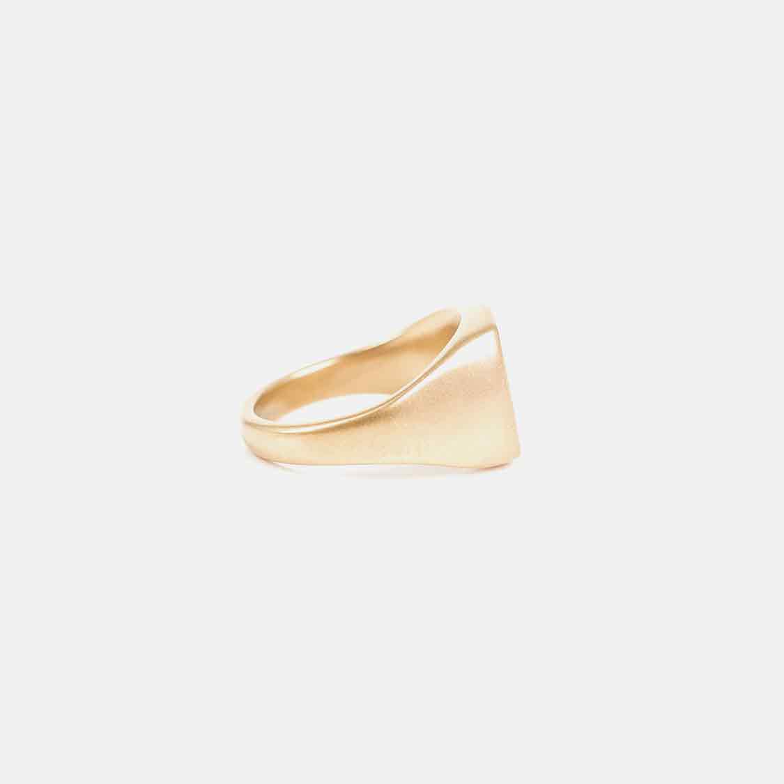 Jernhest - Knutte Gold - 3