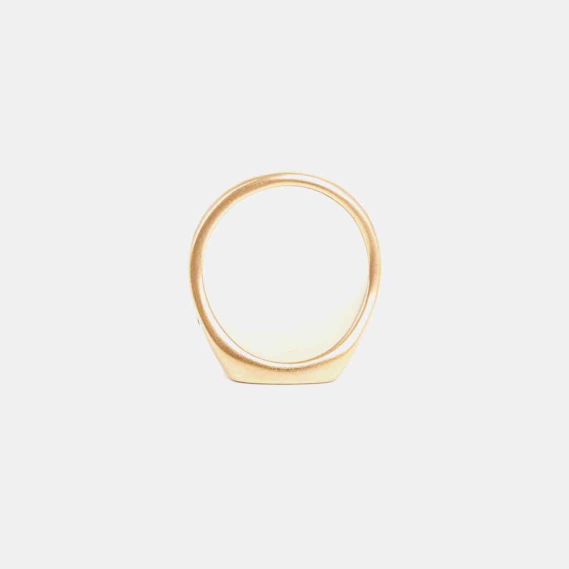Jernhest - Knutte Gold - 4