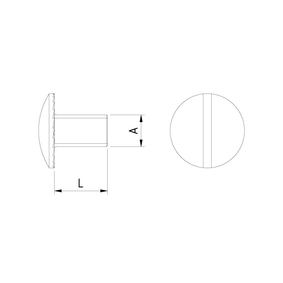Round head bolt Hot-dip galvanized 6mm x 10mm (200pcs) - 2