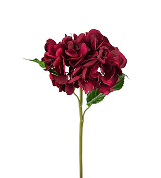Hortensia 55 cm
