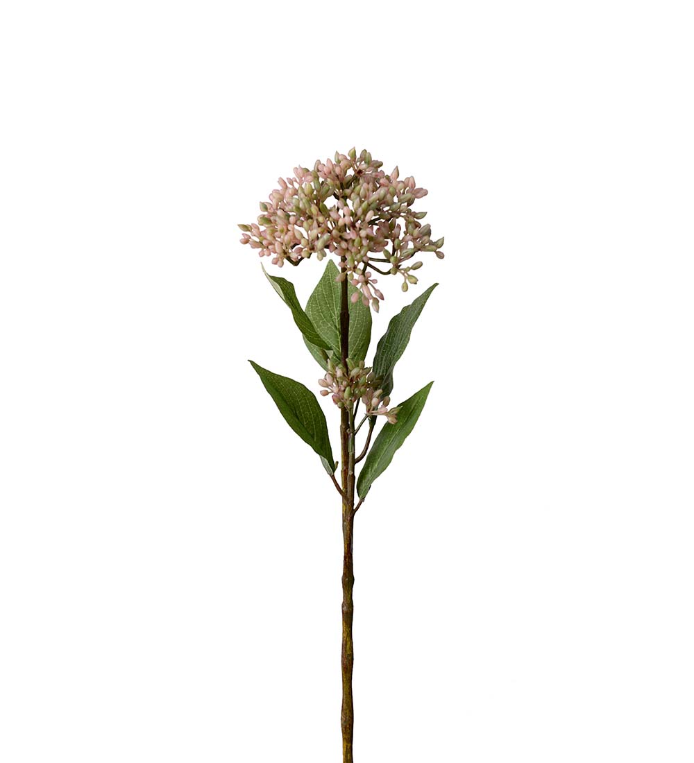Bärkvist 50 cm