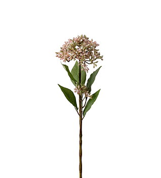 Bärkvist 50 cm