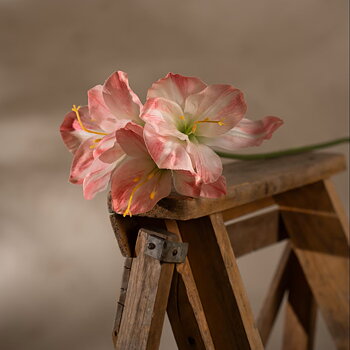 Konstgjord Amaryllis 63 cm