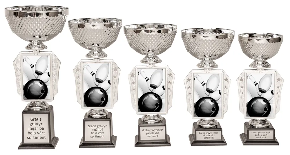 Pokal Action- Bowling