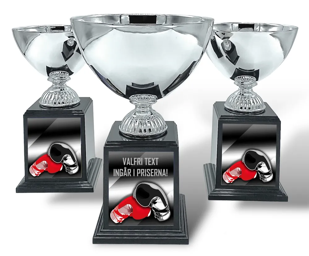 Pokal Deluxe- Boxning