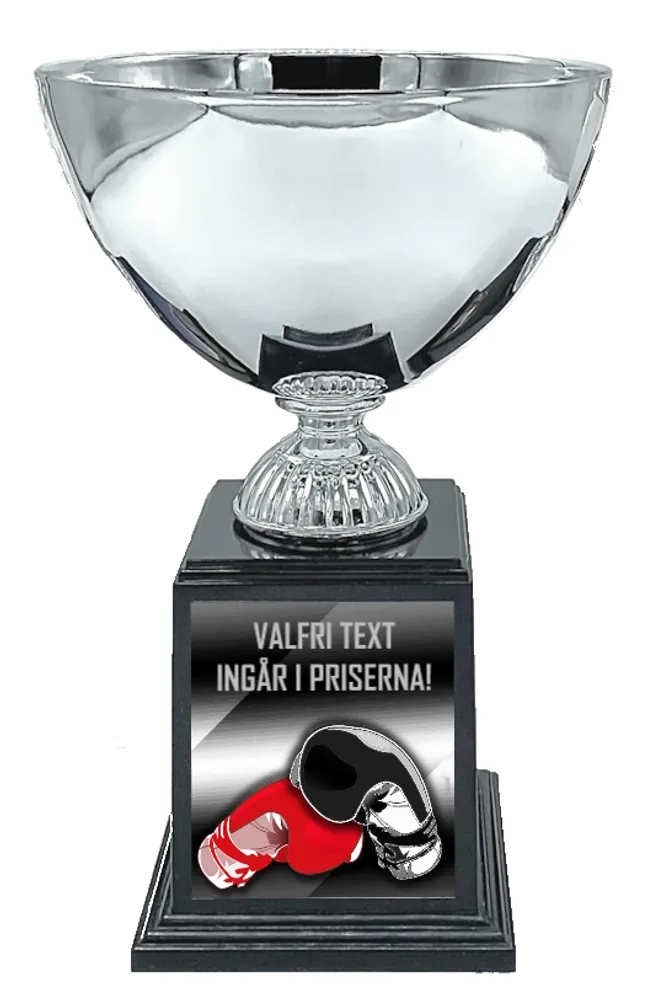Pokal Deluxe- Boxning - 2