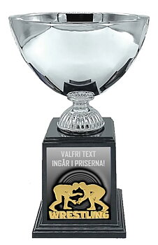 Pokal Deluxe- Brottning