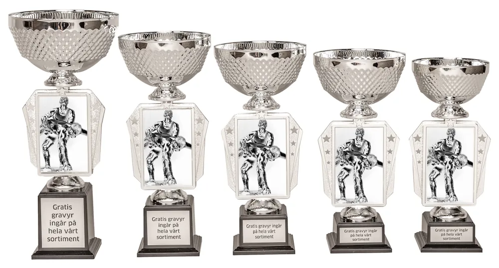 Pokal Action- Brottning