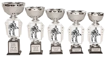 Pokal Action- Brottning