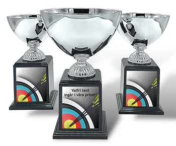 Pokal Deluxe- Bågskytte