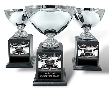 Pokal Deluxe- Curling