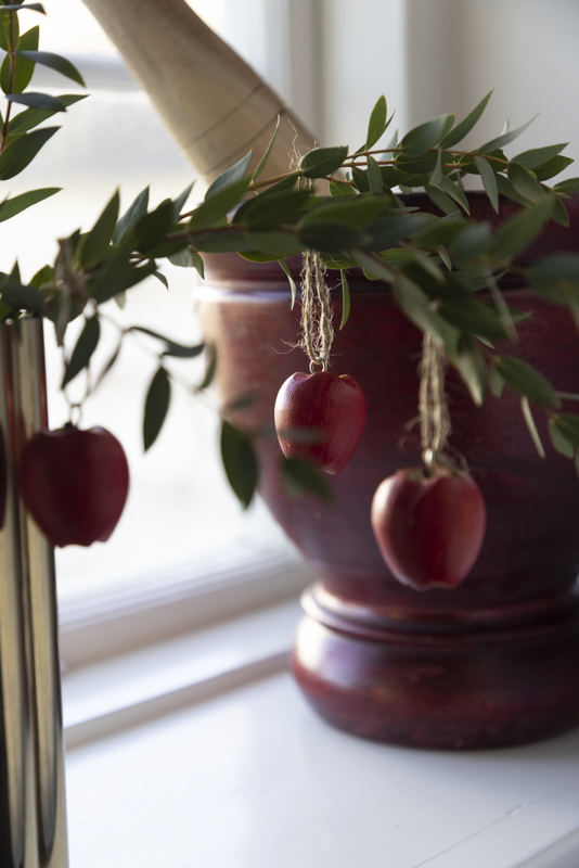 Äpple hängande i trä - 2