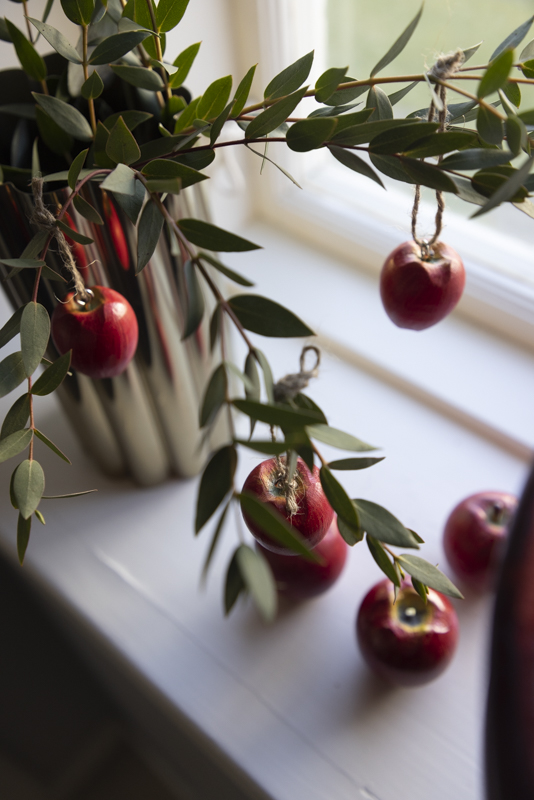 Äpple hängande i trä - 4