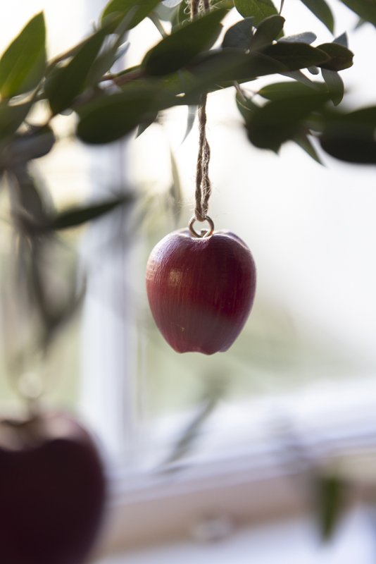 Äpple hängande i trä - 5