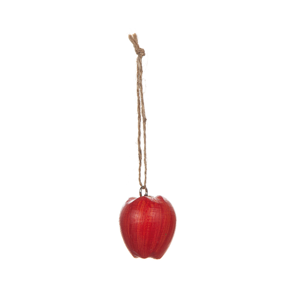 Äpple hängande i trä