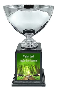 Pokal Deluxe- Cykling